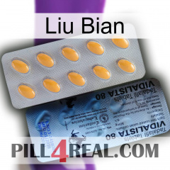 Liu Bian 44